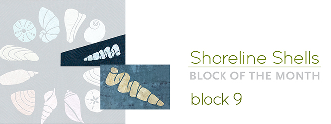 graphic with text: "Shoreline Shells: Block of the Month Block 8" and image of abstract worm shell quilt blocks