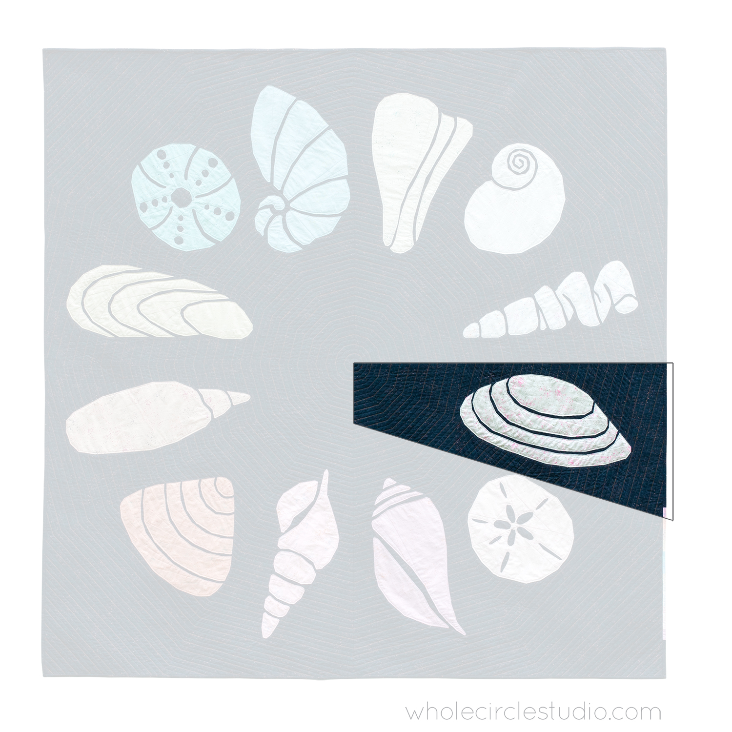 quilt of 12 abstract sea shells in a circle with one block of tellin shell highlighted